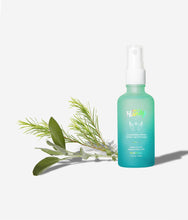 Purifying Sanitizer Spray